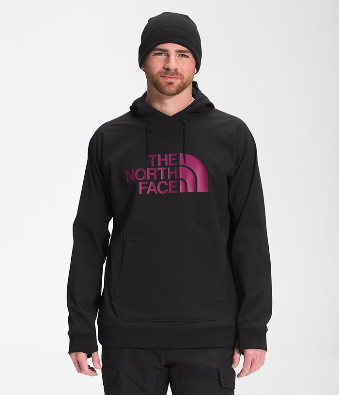 The North Face Mens Hoodie Tekno Logo 089TGIHQJ - Black